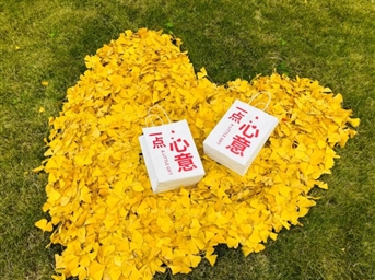 感恩于心，服务于行