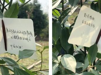 保利物业：拥抱春天 播种绿色