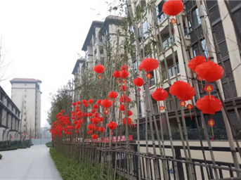 龙光服务 | 新春喜迎“新”，“年”味儿溢满盈