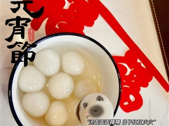 蓝润远鸿 | 这碗汤圆，盛满了整个新春的守候