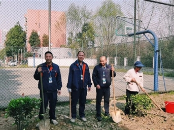 银河物业 | 312同携手 共植清风林