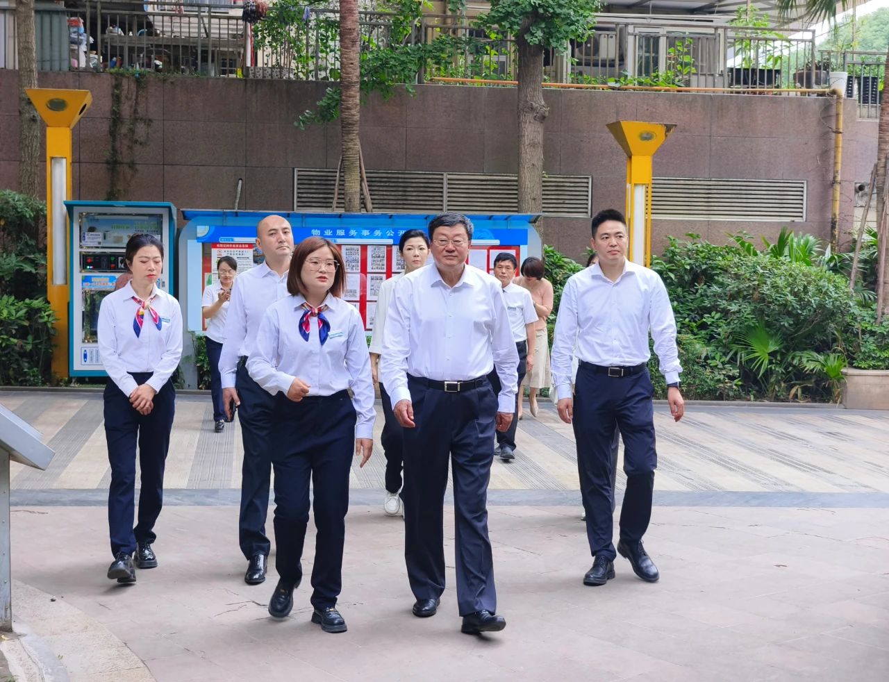 cf248fc4-b561-4054-a182-669a1fc8b2e9 cf248fc4-b561-4054-a182-669a1fc8b2e9