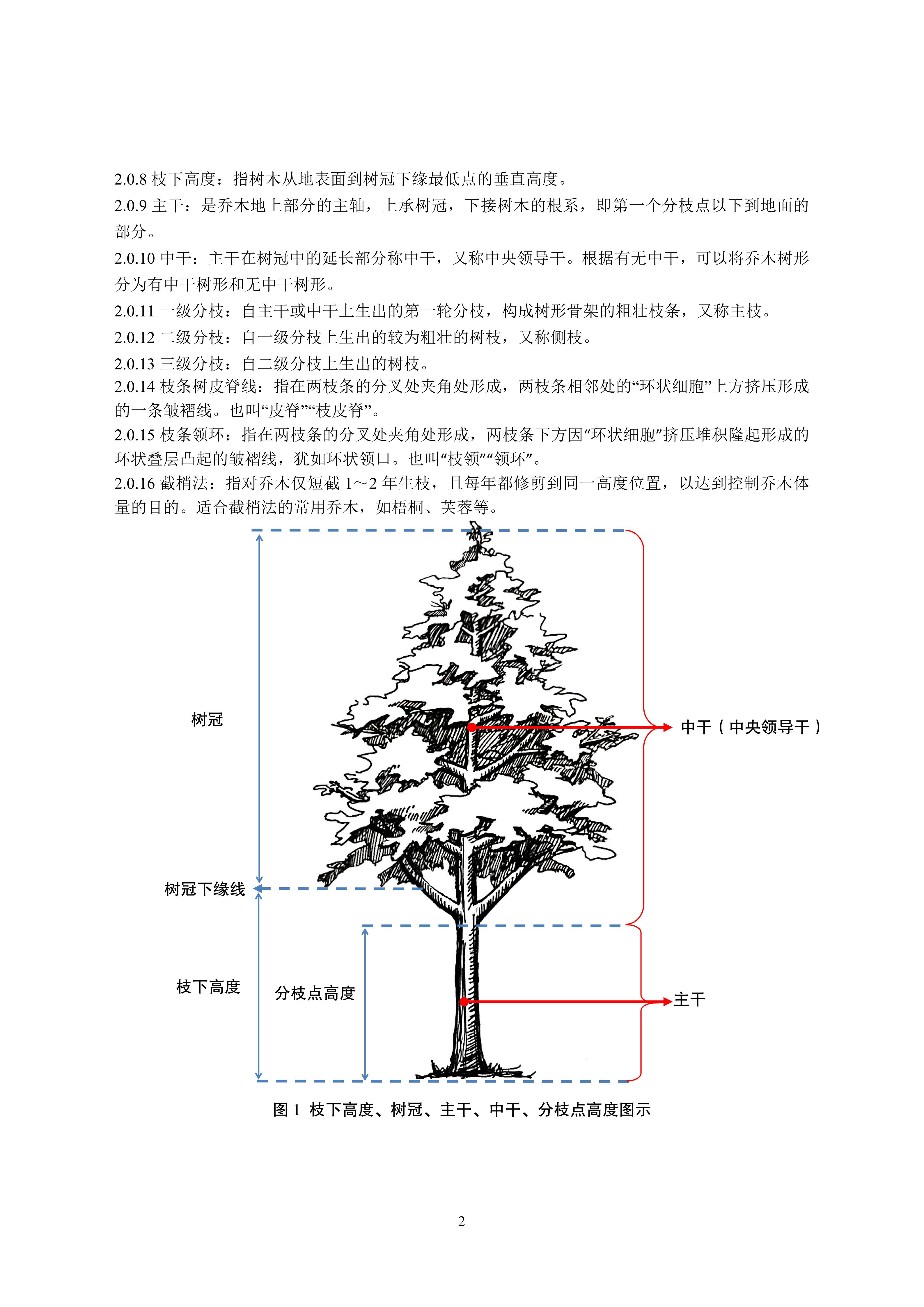 关于印发《成都市绿化乔木修枝技术导则（试行）》的通知（全）_05